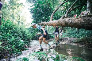 BIB: 
                            <button type="button" onclick="openModal(25432645)" class="btn btn-primary btn-sm float-right btn-popup" data-toggle="modal" data-target=".modal-high-quality">
                        <i class="fas fa-shopping-cart"></i> Add to Cart
                    </button>
                                            <button type="button" onclick="isThisMe(25432645, true)" class="btn btn-success btn-sm float-right btn-popup btn-isme hidden" data-toggle="tooltip" data-placement="bottom" title="นี่คือรูปของคุณใช่ไหม คลิกที่นี่เพื่อเอาเข้าอัลบั้ม">
                        <i class="fas fa-plus"></i> Add to album
                    </button>
                    <button type="button" onclick="isThisMe(25432645, false)" class="btn btn-warning btn-sm float-right btn-popup btn-isnotme hidden">
                        <i class="fas fa-ban"></i> Remove from album
                    </button>